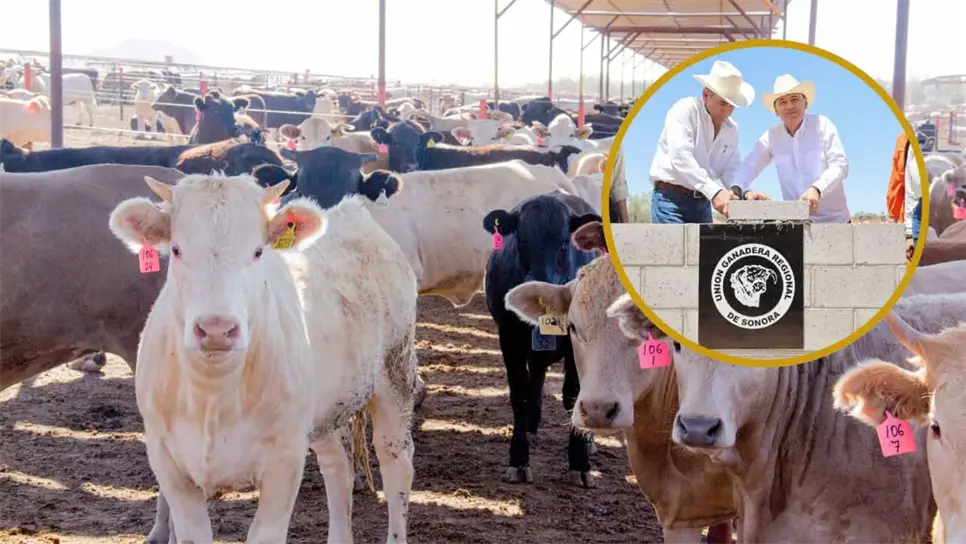 FOTO: Gobierno de Sonora activa su Centro Integral Ganadero: ¿Qué es y para qué sirve?