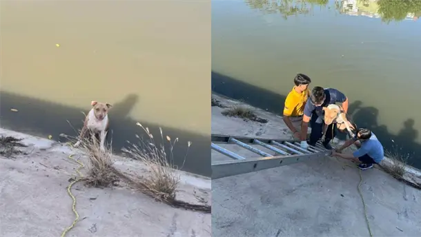 Nota Relacionada de Sinaloa