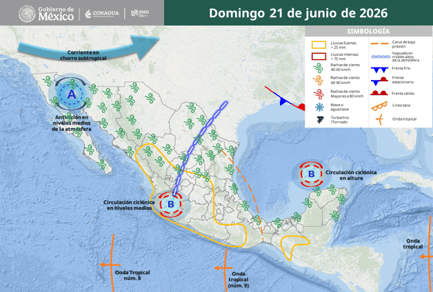 Imagen Placeholder