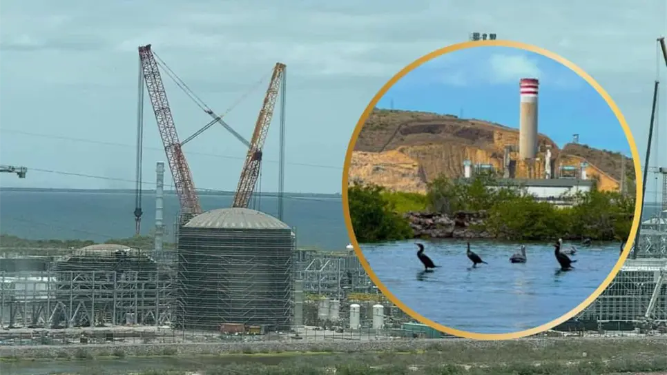 ¿La planta de Topolobampo afectará la Bahía de Ohuira? Esto dicen los estudios ambientales