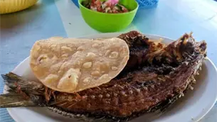 ¡Al llene! ¿cuánto cuesta comer pescado frito en los alamos de los mochis? ¡Al llene! ¿cuánto cuesta comer pescado frito en los alamos de los mochis?