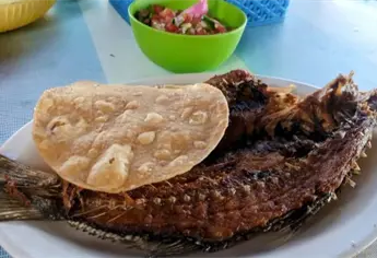 &iexcl;Al llene! &iquest;cu&aacute;nto cuesta comer pescado frito en los alamos de los mochis?