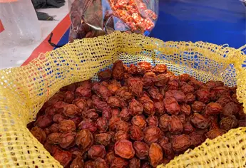 ¿Antojo de ciruela seca? En Mazatlán ya puedes conseguir la original de Agua Caliente de Gárate sin salir de la ciudad