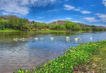 Top 3 de los mejores lugares del Río Fuerte para pasar un buen rato en familia estas vacaciones 
