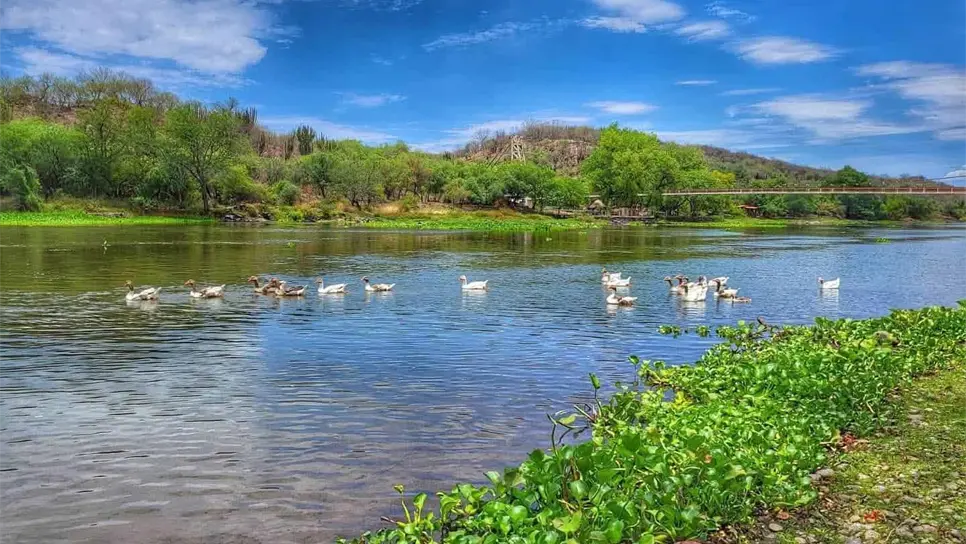 Estos puntos complementan la oferta turística de la región y refuerzan al Río Fuerte como uno de los corredores naturales más importantes del norte de Sinaloa para el turismo local y familiar