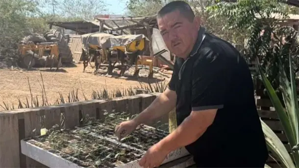 Nota Relacionada de Sinaloa