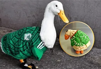 Merlín inspira la Merliconcha: ¿Dónde comprar el pan viral del pato mundialista que arrasa en CDMX?