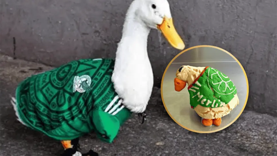 Merlín inspira la Merliconcha: ¿Dónde comprar el pan viral del pato mundialista que arrasa en CDMX?
