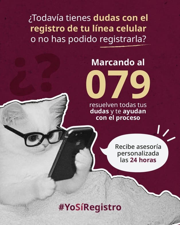 Imagen Placeholder Imagen Placeholder