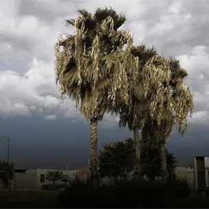 Clima en Los Mochis para este sábado 20 de junio: calor extremo y fuertes rachas de viento Clima en Los Mochis para este sábado 20 de junio: calor extremo y fuertes rachas de viento