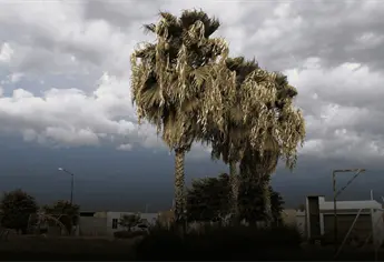 Clima en Los Mochis para este sábado 20 de junio: calor extremo y fuertes rachas de viento
