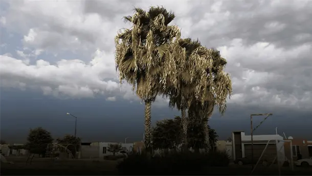 Nota Relacionada de Sinaloa