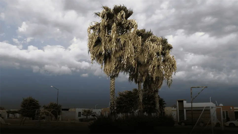 FOTO: Clima en Los Mochis.