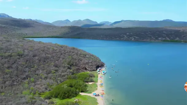 Nota Relacionada de Sinaloa