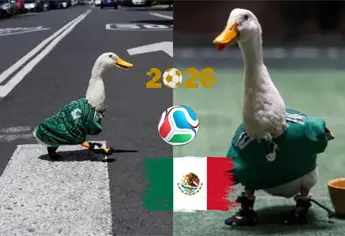 Pato “Merlín”, la mascota no oficial del Mundial que adoptaron los mexicanos y ahora es embajador del evento