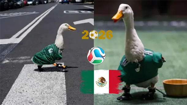 Nota Relacionada de M&eacute;xico