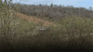 Localizan a hombre sin vida cerca del libramiento Mazatlán-Tepic; ya fue identificado Localizan a hombre sin vida cerca del libramiento Mazatlán-Tepic; ya fue identificado
