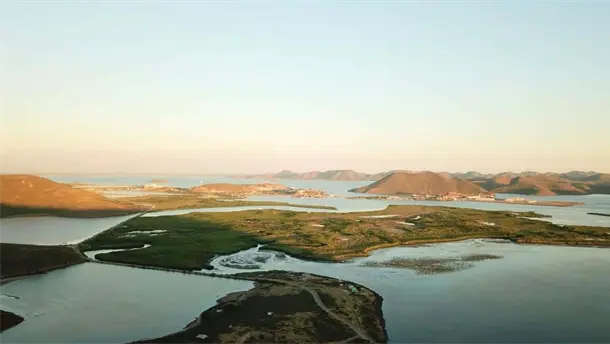 Nota Relacionada de Sinaloa