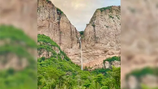 Nota Relacionada de Sinaloa