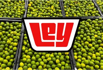 Casa Ley: Las ofertas del Día de la Fruta y la Verdura este 23 de junio para preparar la comida