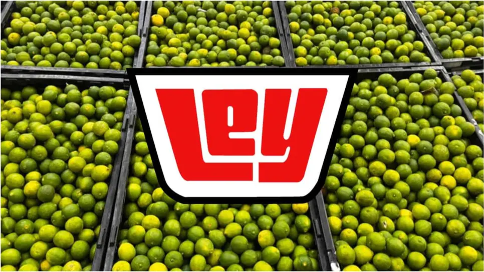 FOTO: Casa Ley: Las ofertas del Día de la Fruta y la Verdura este 23 de junio para preparar la comida