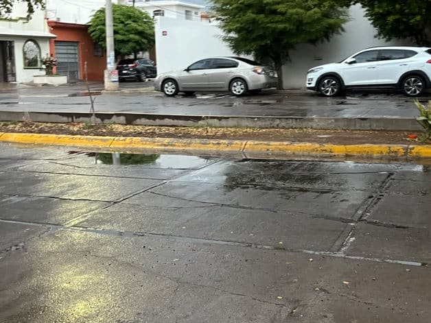 Imagen Placeholder Imagen Placeholder