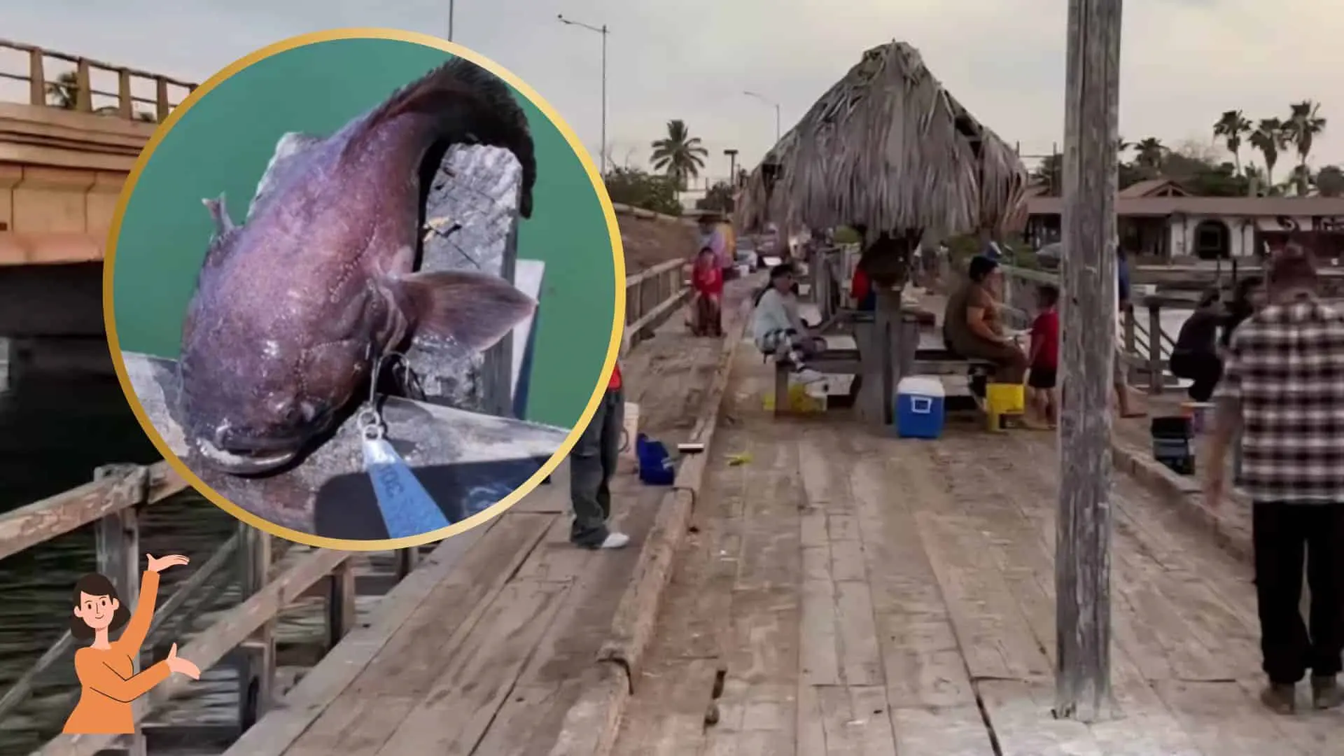 Pescan extra&ntilde;o pez en el puente viejo de El Maviri; est&aacute; tan raro que da miedo | VIDEO