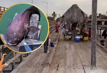 Pescan extraño pez en el puente viejo de El Maviri; está tan raro que da miedo | VIDEO