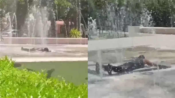 Nota Relacionada de Sinaloa