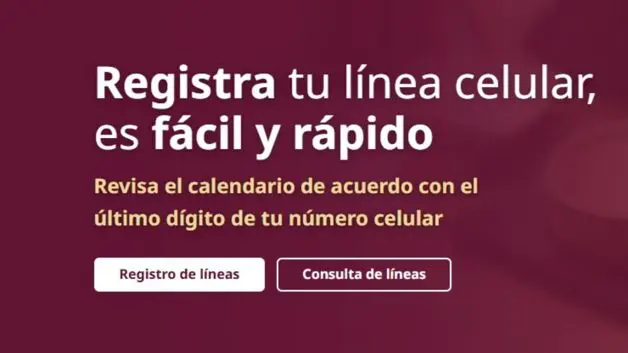 Imagen Placeholder