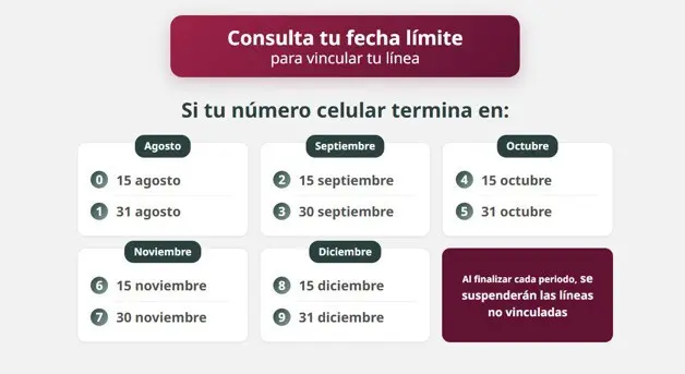 Imagen Placeholder