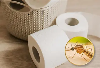 ¿Cómo ahuyentar mosquitos con papel higiénico? Truco casero que debes saber