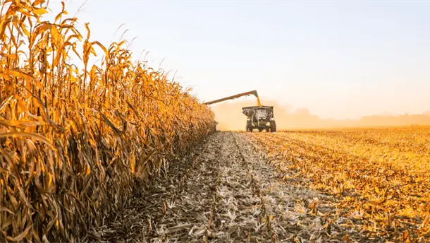 Nota Relacionada de Agro
