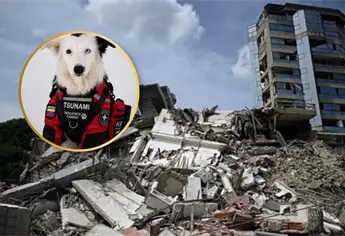 ¿Quién es Tsunami, el perrito rescatista que se ha convertido en el héroe de Venezuela?