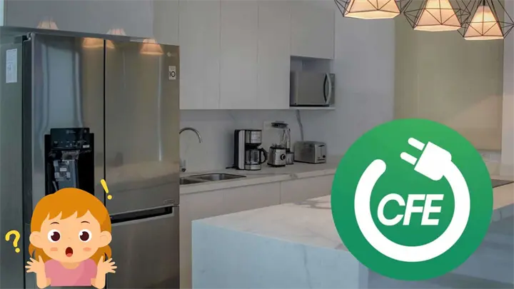 CFE: &iquest;El recibo te lleg&oacute; m&aacute;s caro? Estos h&aacute;bitos con tu refrigerador pueden ayudarte a ahorrar luz