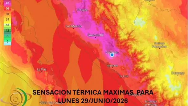 Nota Relacionada de Sinaloa