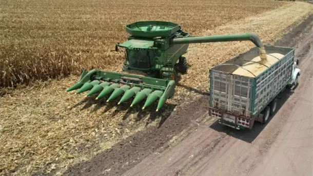 Nota Relacionada de Agro