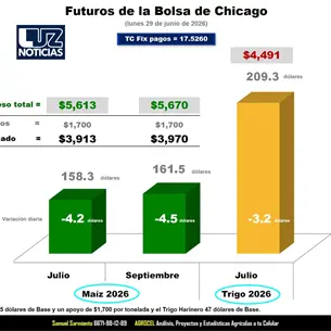 Samuel Sarmiento: ma&iacute;z rompe el piso de los 160 d&oacute;lares y aleja a productores de Sinaloa de la meta de los 6 mil pesos por tonelada