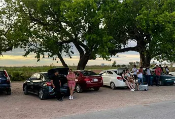 Carnita asada, cocos y mucha sombra: así se disfruta un día en Los Álamos de Los Mochis