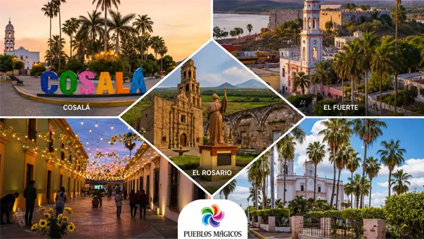 Nota Relacionada de Sinaloa