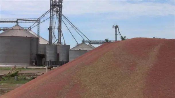 Nota Relacionada de Agro