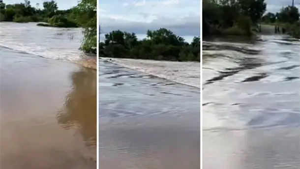 Nota Relacionada de Sinaloa
