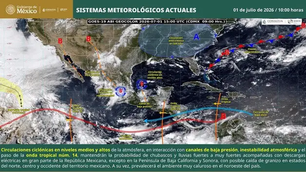 Imagen Placeholder