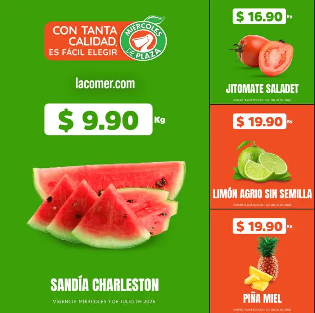 Imagen Placeholder Imagen Placeholder