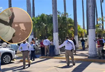 Sismos en Los Mochis: ¿Cuáles ha sido el más fuerte según los registros históricos?