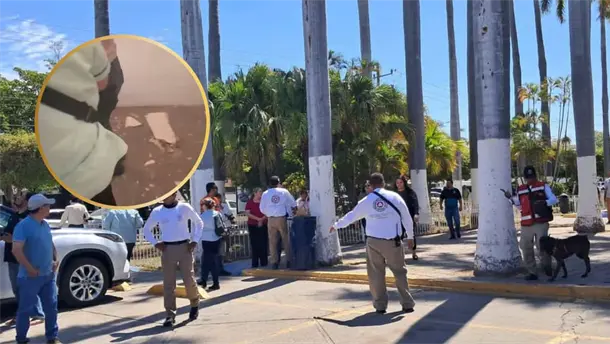 Nota Relacionada de Sinaloa