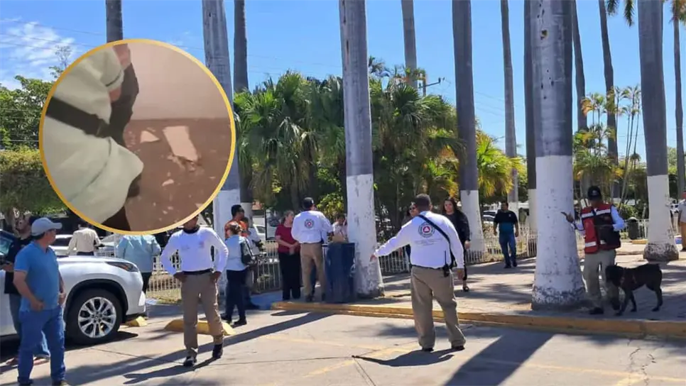 Si bien los terremotos de gran magnitud son poco frecuentes en el norte de Sinaloa, el antecedente de 1969 demuestra que la región no está exenta de registrar eventos sísmicos importantes, por lo que las autoridades exhortan a mantenerse informados a través de los canales oficiales del Servicio Sismológico Nacional y de Protección Civil