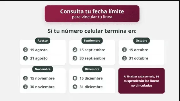 Imagen Placeholder