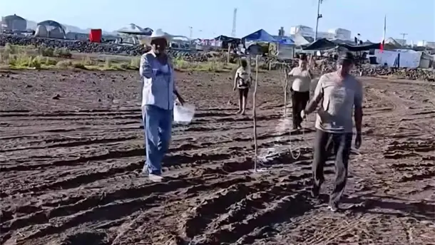Nota Relacionada de Sinaloa