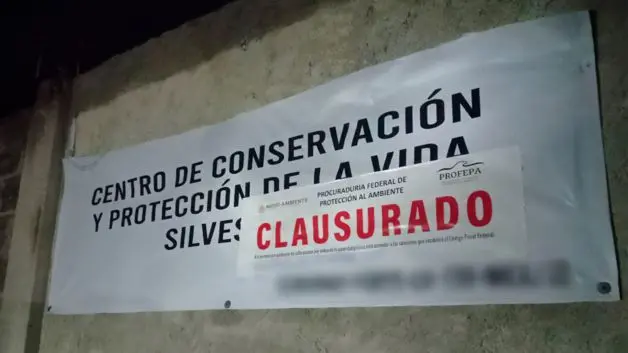Imagen Placeholder